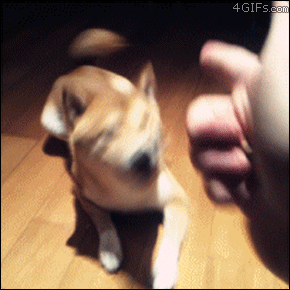 Acid GIFs, July 15 (25 gifs) Acid GIFs, July 15 (25 gifs)