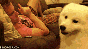 Acid GIFs, July 15 (25 gifs) Acid GIFs, July 15 (25 gifs)