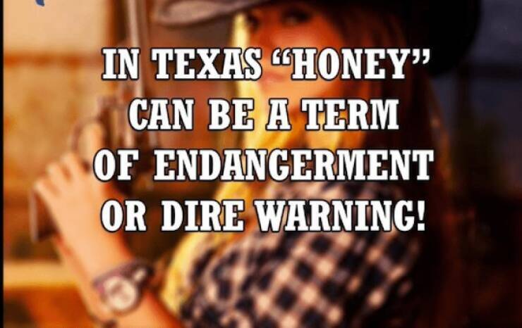 Jokes About Texas (15 pics)