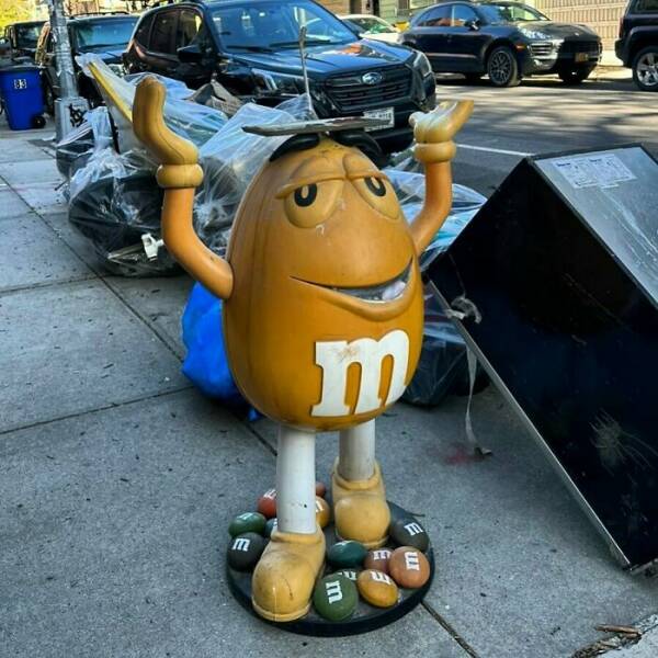 Unusual Finds On The Roadside (20 pics)