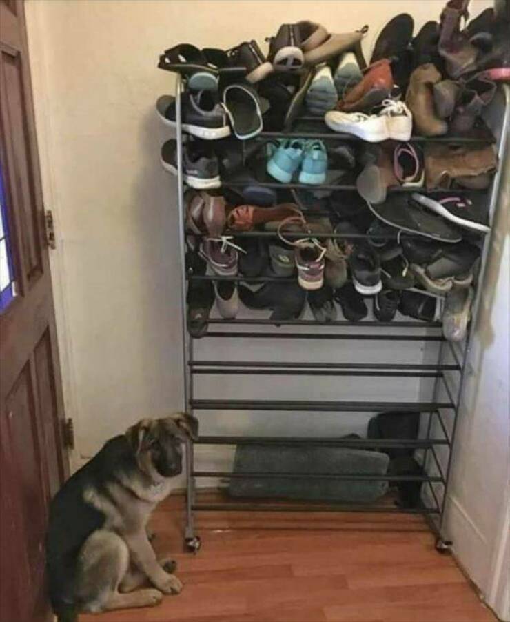 Daily Pictures. Part 2 (54 pics)