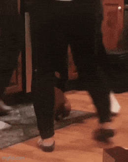 Acid GIFs, July 16 (25 gifs) Acid GIFs, July 16 (25 gifs)