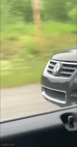 Acid GIFs, July 16 (25 gifs) Acid GIFs, July 16 (25 gifs)
