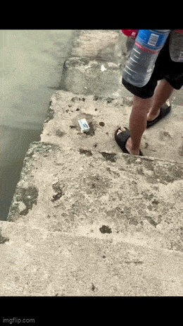 Acid GIFs, July 16 (25 gifs) Acid GIFs, July 16 (25 gifs)