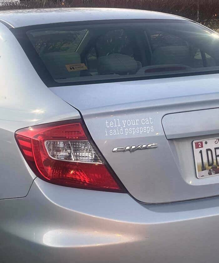 Funny Bumper Stickers (17 pics)