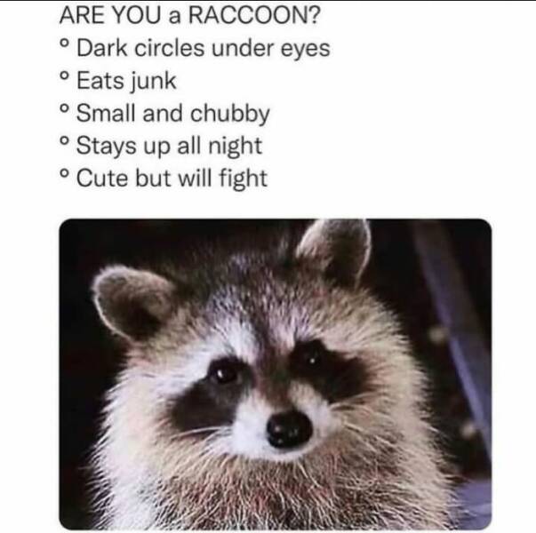 Truthful Memes (15 pics)