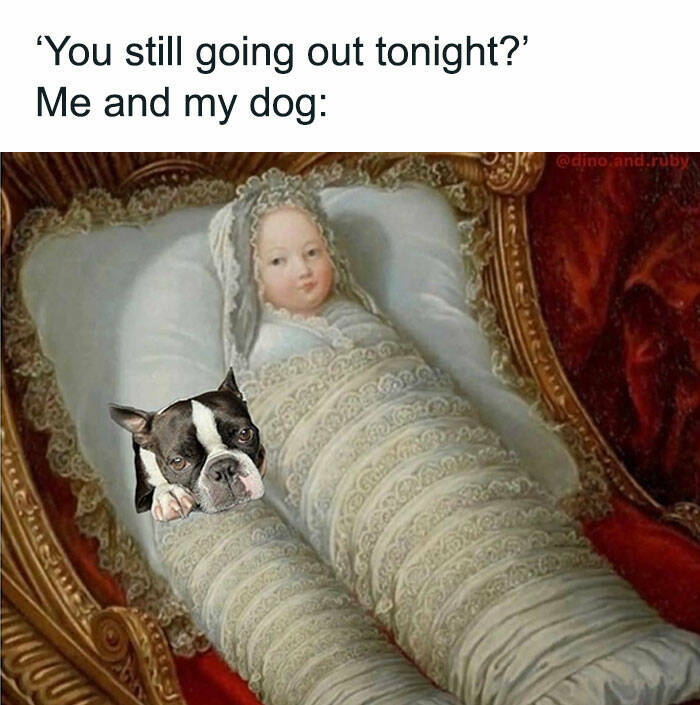 Truthful Memes (15 pics)