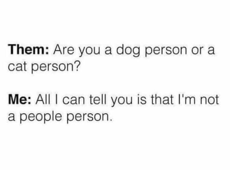 Truthful Memes (15 pics)