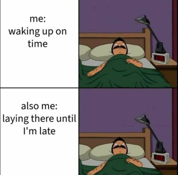 Truthful Memes (15 pics)