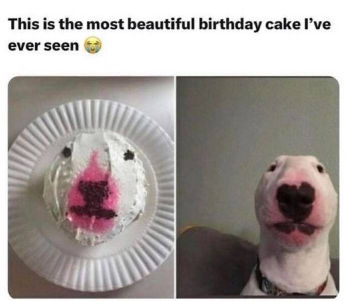 Truthful Memes (15 pics)