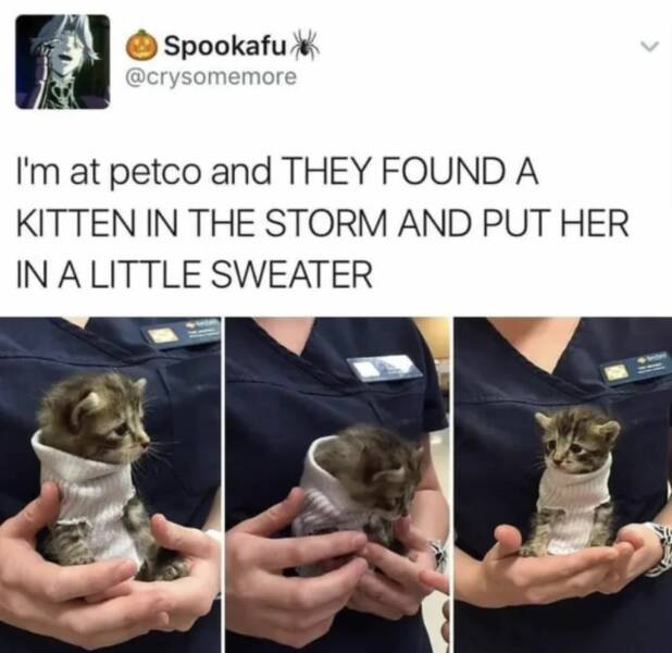 Daily Pictures. Part 1 (58 pics)