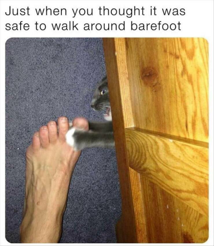Daily Pictures. Part 2 (56 pics)