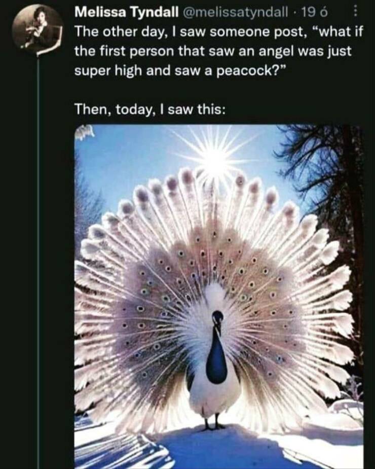 Daily Pictures. Part 2 (56 pics)