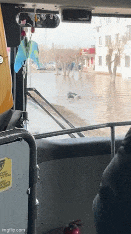 Acid GIFs, July 18 (25 gifs) Acid GIFs, July 18 (25 gifs)