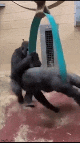 Acid GIFs, July 18 (25 gifs) Acid GIFs, July 18 (25 gifs)