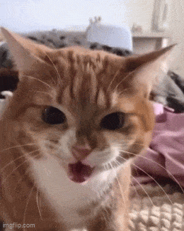 Acid GIFs, July 18 (25 gifs) Acid GIFs, July 18 (25 gifs)