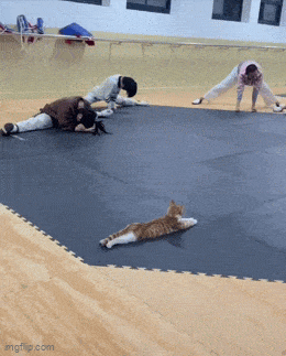 Acid GIFs, July 18 (25 gifs) Acid GIFs, July 18 (25 gifs)