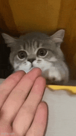 Acid GIFs, July 18 (25 gifs) Acid GIFs, July 18 (25 gifs)