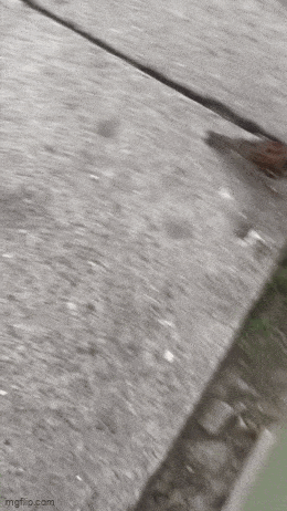 Acid GIFs, July 18 (25 gifs) Acid GIFs, July 18 (25 gifs)