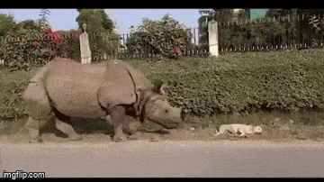 Acid GIFs, July 18 (25 gifs) Acid GIFs, July 18 (25 gifs)