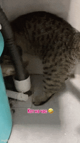Acid GIFs, July 18 (25 gifs) Acid GIFs, July 18 (25 gifs)