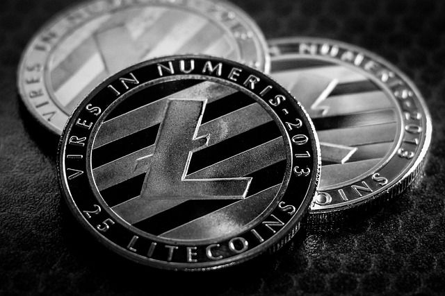 Exploring the Primary Purpose and Use of Litecoin