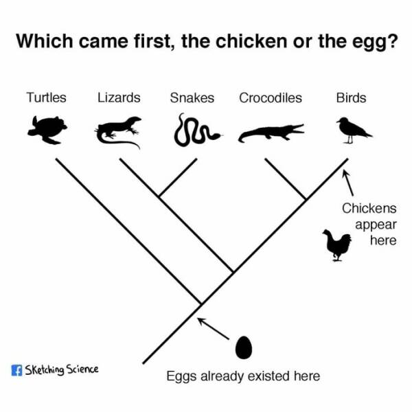 Science Memes (21 pics)