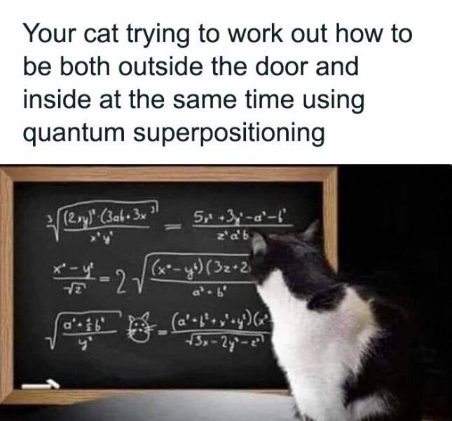 Science Memes (21 pics)