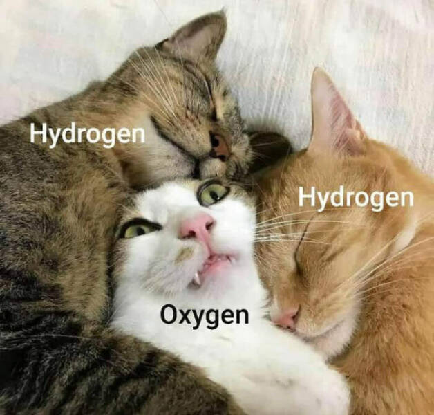 Science Memes (21 pics)