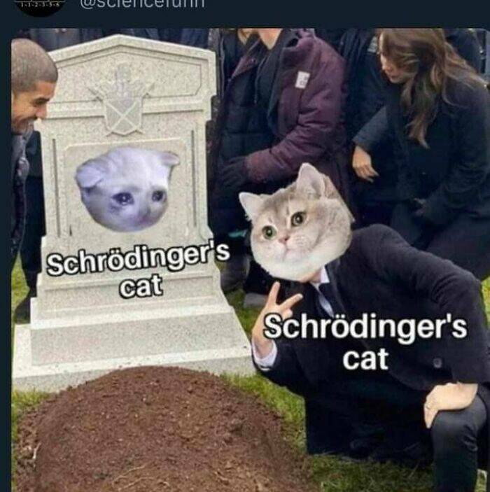 Science Memes (21 pics)