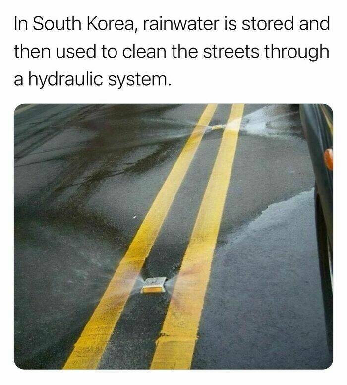 Interesting Facts (23 pics)