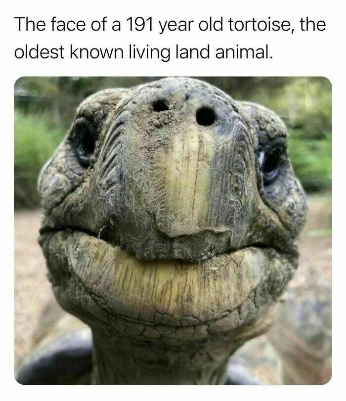 Interesting Facts (23 pics)