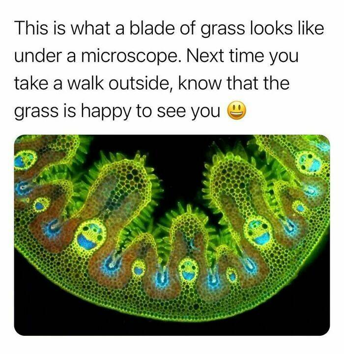 Interesting Facts (23 pics)
