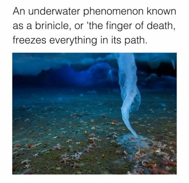 Interesting Facts (23 pics)