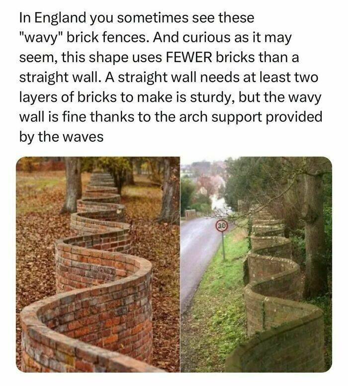 Interesting Facts (23 pics)