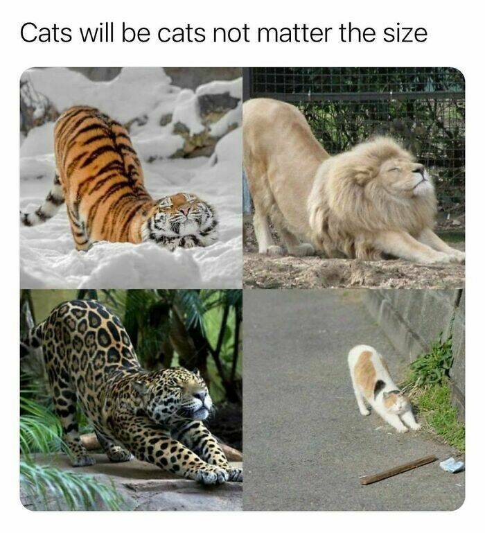 Interesting Facts (23 pics)