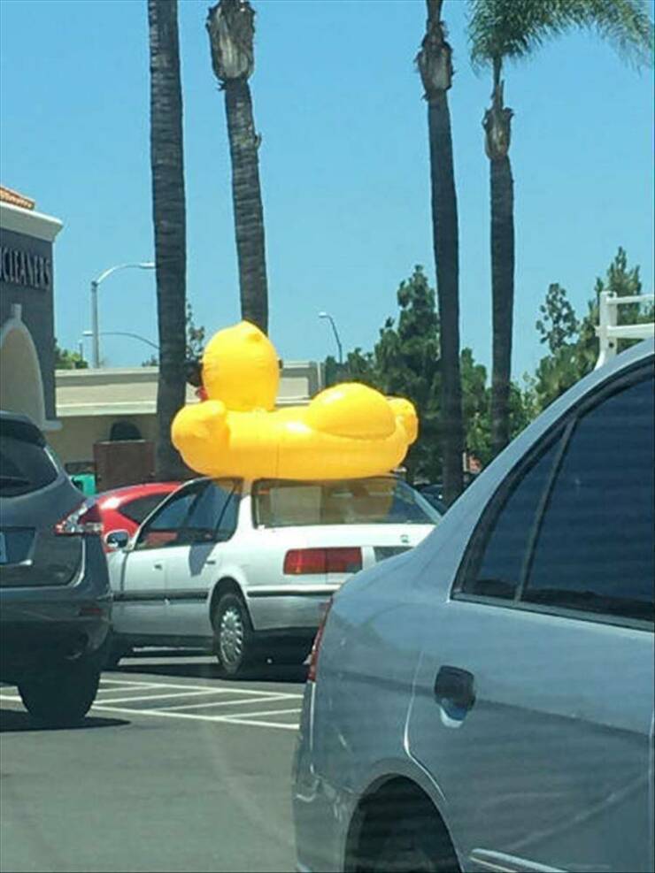 Daily Pictures. Part 2 (61 pics)
