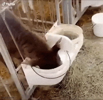 Acid GIFs, July 19 (25 gifs) Acid GIFs, July 19 (25 gifs)