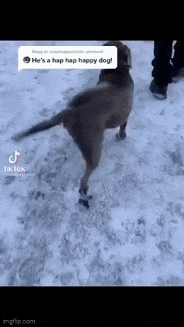 Acid GIFs, July 19 (25 gifs) Acid GIFs, July 19 (25 gifs)