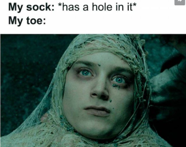 ''The Lord Of The Rings'' Memes (21 pics)