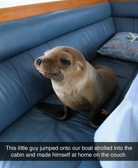 Daily Pictures. Part 1 (54 pics)