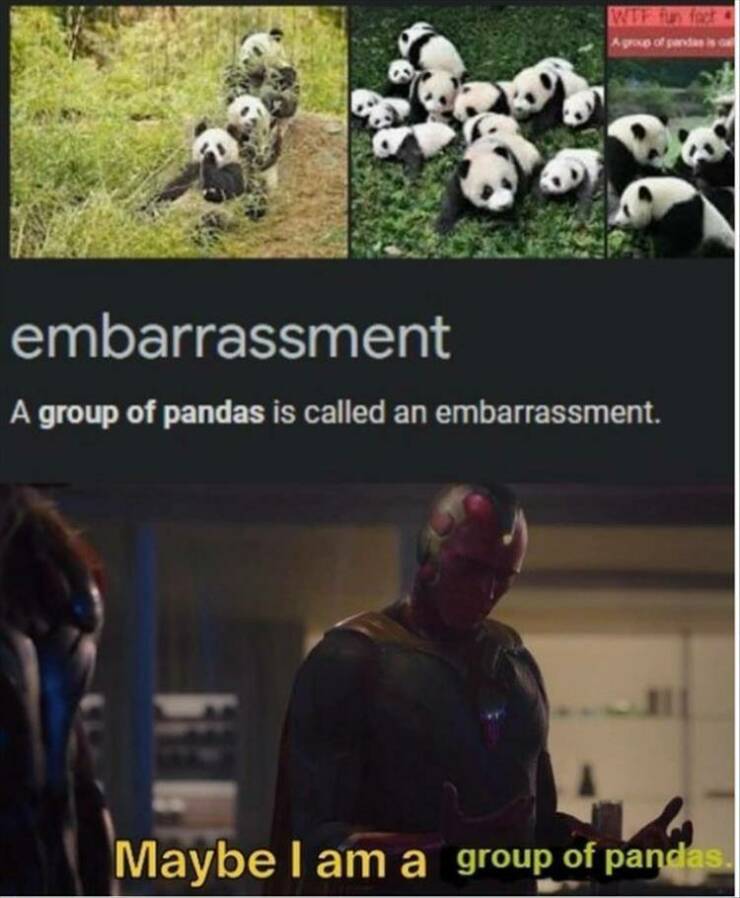 Daily Pictures. Part 2 (52 pics)