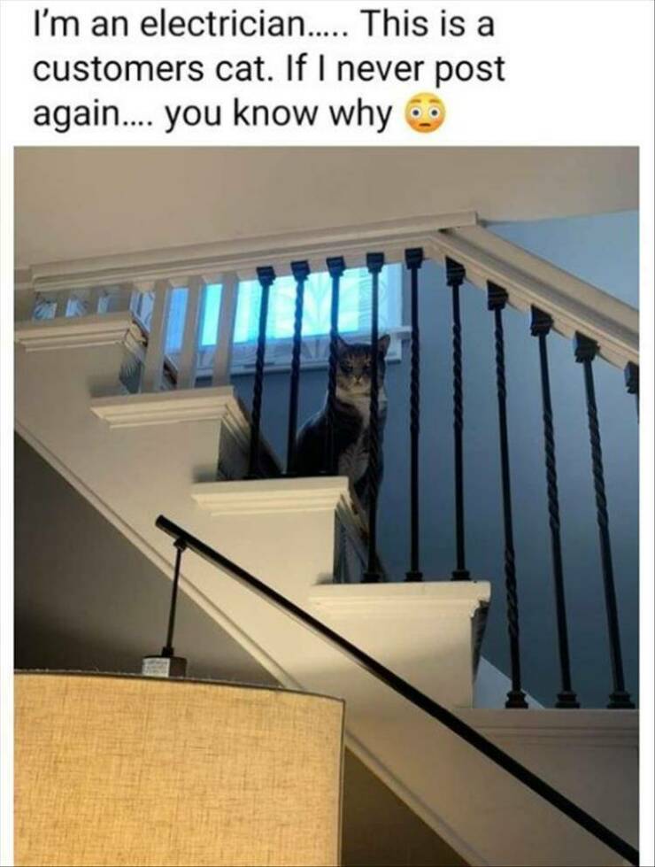 Daily Pictures. Part 2 (52 pics)