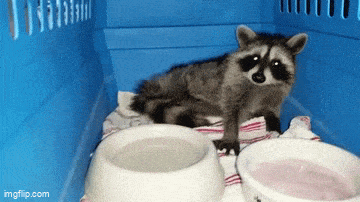 Acid GIFs, July 22 (25 gifs)