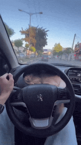 Acid GIFs, July 22 (25 gifs)