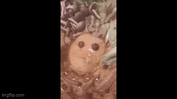 Acid GIFs, July 22 (25 gifs)