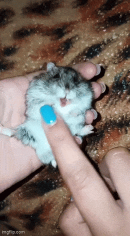 Acid GIFs, July 22 (25 gifs)