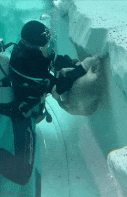 Acid GIFs, July 22 (25 gifs)