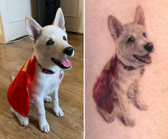 Tattoos For Pet Lovers (16 pics)