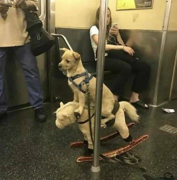 Daily Pictures. Part 1 (60 pics)
